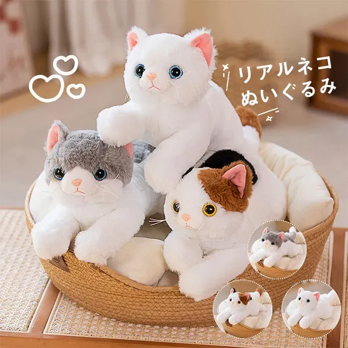 驚くほどリアル！あなたに「最高の癒やし」をくれる猫 ぬいぐるみ選び